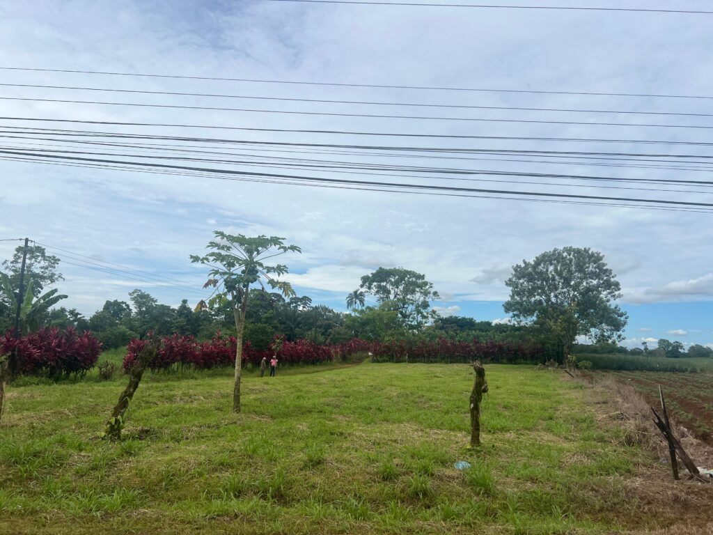 whatsapp image 2025 10 16 at 6.06.59 pm